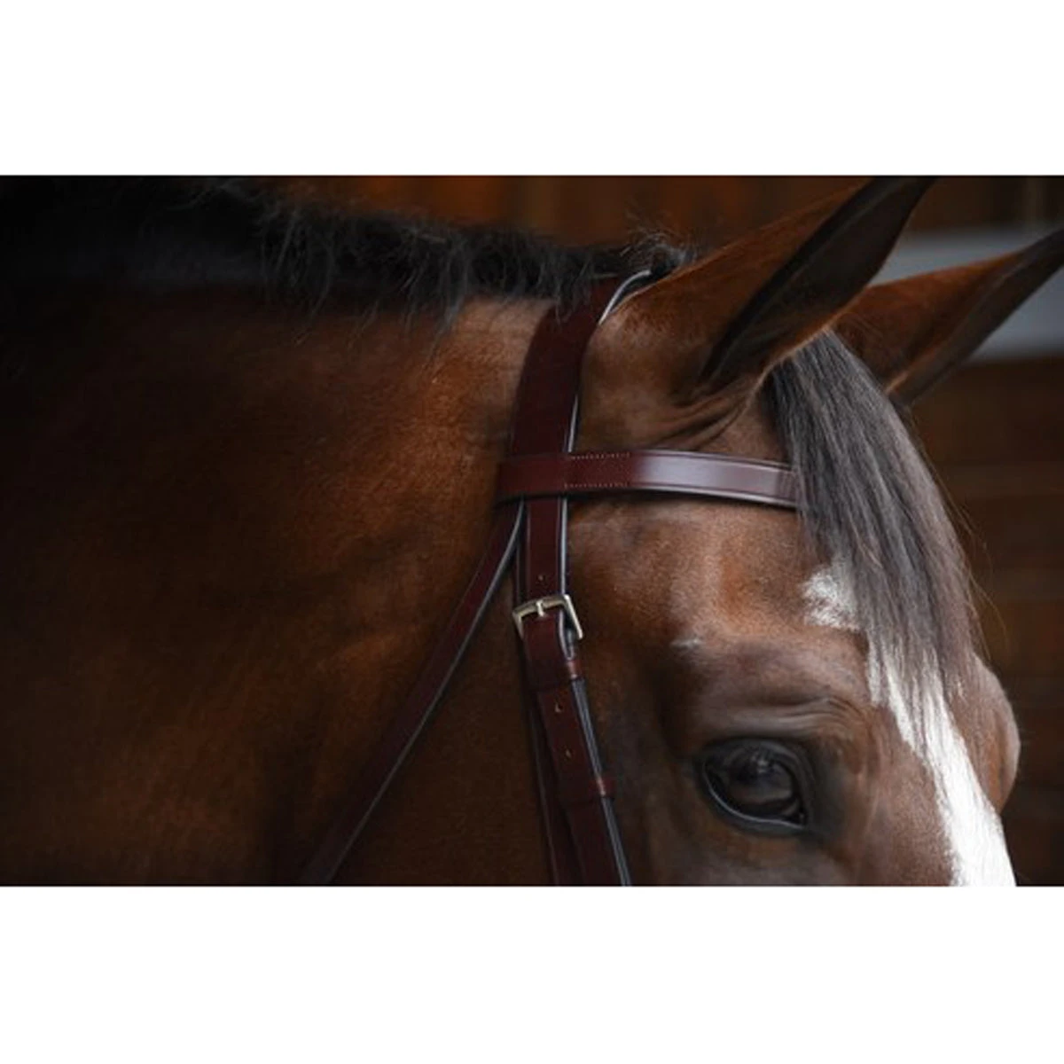 KL Select Italia Foxwell Hunt Bridle 4 KL Select Italia Foxwell Hunt Bridle - Image 2