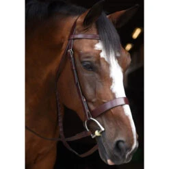 KL Select Italia Foxwell Hunt Bridle