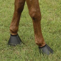 EquiFit Essential Bell Boot 15 EquiFit Essential Bell Boot -Weatherbeeta Shop 11269 EquiFit Essential.Bell .Boot Fleece.Rolled4