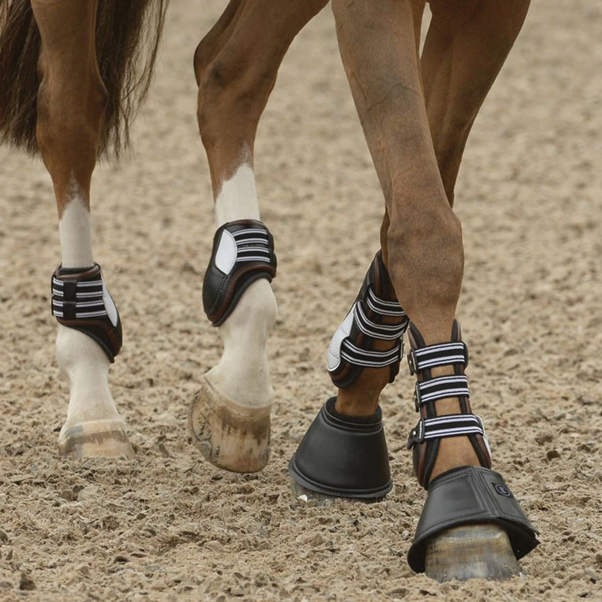 EquiFit Essential Bell Boot 10 EquiFit Essential Bell Boot - Image 8