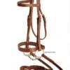 Tory Leather Hunter Bridle -Weatherbeeta Shop 1132OIMG 2495