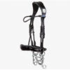 PS Of Sweden Passage Lacquered Double Bridle -Weatherbeeta Shop 1250 314 PSSweden Passage.Lacquered.Double.Bridle Black