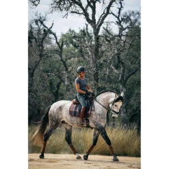 Sixteen Cypress Dressage Pad 17 Sixteen Cypress Dressage Pad -Weatherbeeta Shop 16C DP FP C 16Cypress Dressage.Pad Field.Plaid .Cognac Lifestyle