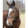 HDR Kushy Bridle With Detachable Flash -Weatherbeeta Shop 24184 JPC HDR Kushy.Bdl .w.Detach.Flash Front