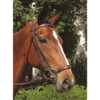 Nunn Finer Original Lever Noseband 1 Nunn Finer Original Lever Noseband -Weatherbeeta Shop 280 2T