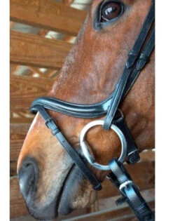 Nunn Finer A Forma Di Shaped Bridle 9 Nunn Finer A Forma Di Shaped Bridle -Weatherbeeta Shop 2 30964.1524843942.1280.1280