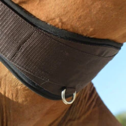 EquiFit Essential Schooling Girth 15 EquiFit Essential Schooling Girth -Weatherbeeta Shop 32950 EquiFit Essential.Schooling.Girth SmartFabric4