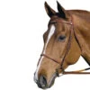 HDR Pro Fancy Raised Bridle With Laced Reins -Weatherbeeta Shop 5004 01 JPC HDR Pro.Fancy .Raised.Bridle.Laced .Reins