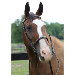 HDR Pro Fancy Raised Bridle With Laced Reins 5 HDR Pro Fancy Raised Bridle With Laced Reins -Weatherbeeta Shop 5004 01 JPC HDR Pro.Fancy .Raised.Bridle.Laced .Reins Havana
