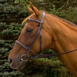 HDR Pro Mono Crown Padded Fancy Bridle -Weatherbeeta Shop 5099 JPC HDR.Pro .Mono .Crown .Padded.Fancy .Bridle Havana