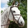 Red Barn By KL Select Equinox Figure 8 Bridle -Weatherbeeta Shop 5116 KL Equinox.Bridle Brown Front