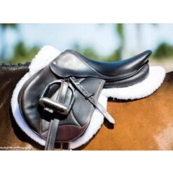 ThinLine Trifecta Half Pad With Sheepskin Rolls 30 ThinLine Trifecta Half Pad With Sheepskin Rolls -Weatherbeeta Shop 7416 trifecta.half .pad .w.sheepskin.rolls wht on.horse