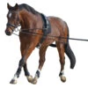 Waldhausen Lunging System 2 Waldhausen Lunging System -Weatherbeeta Shop 8104701 Waldhausen Lunging.System.2