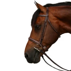 Equiline Scott Stewart Hunter Bridle -Weatherbeeta Shop BJ150 EQline Scott.Stewart.Hunter.Bridle Brown Side