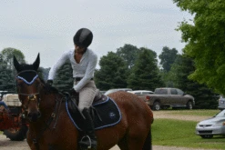 Ogilvy Jump Profile Pad - Custom 9 Ogilvy Jump Profile Pad - Custom -Weatherbeeta Shop DSC 0833 700466