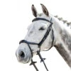 Prestige 3E143 Bridle With Double Drop Noseband -Weatherbeeta Shop E143 Prestige Double.Drop .Noseband.Bridle