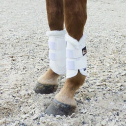 EHI Pro Series Horse & Pony Boots 7 EHI Pro Series Horse & Pony Boots -Weatherbeeta Shop EHI Pro.Series.Boots Wht 00