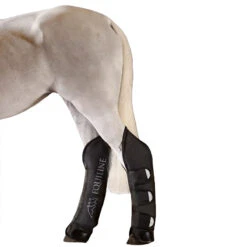 Equiline Rex Travel Boots -Weatherbeeta Shop Equiline Rex.Travel.Boots Horse