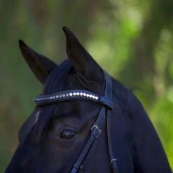 Halter Ego Doc Marten Snaffle Bridle -Weatherbeeta Shop Halter.Ego Doc.Marten.Snaffle.Bridle Black 4