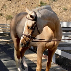 Halter Ego Halifax Hunter Bridle -Weatherbeeta Shop Halter.Ego Halifax.Hunter.Bridle 2