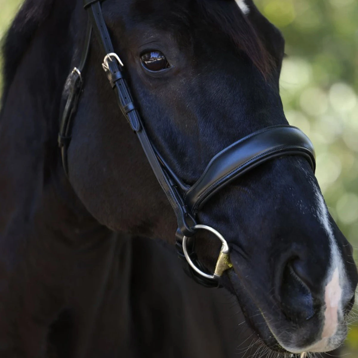 Halter Ego Highland Rolled Leather Anatomical Snaffle Bridle 4 Halter Ego Highland Rolled Leather Anatomical Snaffle Bridle - Image 2