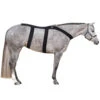 Ice Horse Back Blanket 2 Ice Horse Back Blanket -Weatherbeeta Shop IH8000V MacKinnon IH.Back .Blanket