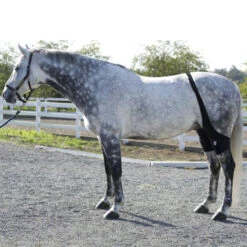 Ice Horse Stifle Wrap 12 Ice Horse Stifle Wrap -Weatherbeeta Shop IHF9000V MacKinnon Hock.Wraps2