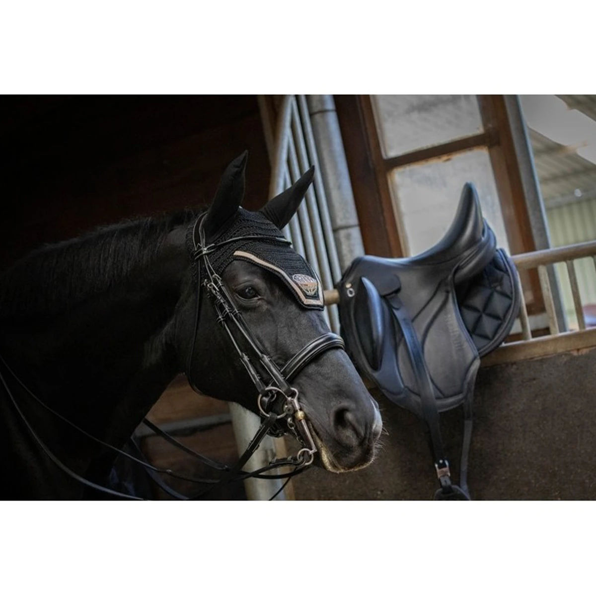 Jump'in Patent Double Bridle - Week Collection 3 Jump'in Patent Double Bridle - Week Collection