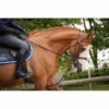 Jump'in Patrick Training Aid 1 Jump'in Patrick Training Aid -Weatherbeeta Shop JI ENP 1
