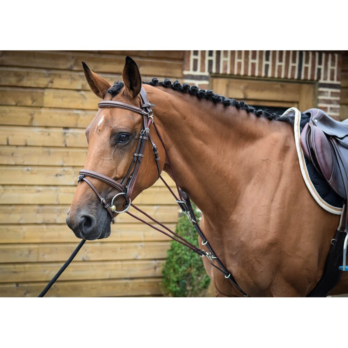 Jump'in Gogue - One Collection 3 Jump'in Gogue - One Collection