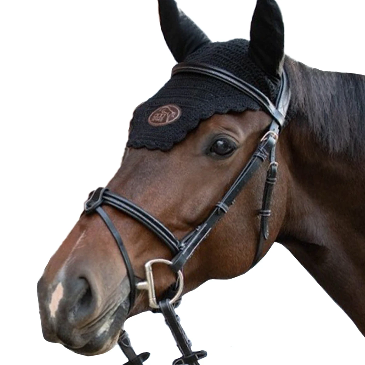 Jump'in Tuesday Bridle - Week Collection 3 Jump'in Tuesday Bridle - Week Collection