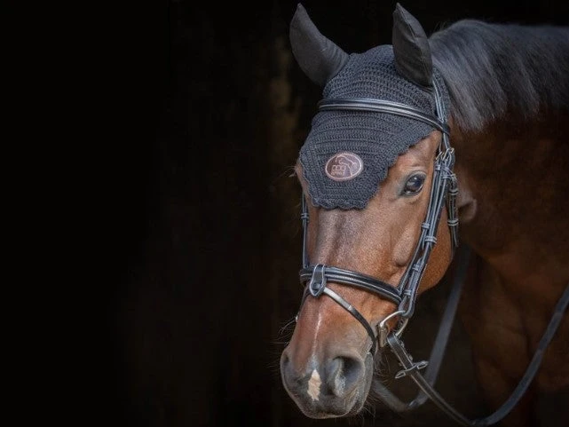 Jump'in Tuesday Bridle - Week Collection 4 Jump'in Tuesday Bridle - Week Collection - Image 2