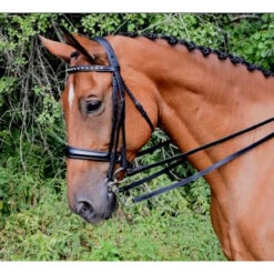 Red Barn By KL Select Cadence Weymouth Dressage Bridle 7 Red Barn By KL Select Cadence Weymouth Dressage Bridle -Weatherbeeta Shop KL.Select Cadence.Weymouth