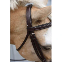Red Barn By KL Select Icon Hunter Bridle -Weatherbeeta Shop KL.Select Icon.Bridle Detail