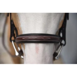 Red Barn By KL Select Icon Hunter Bridle -Weatherbeeta Shop KL.Select Icon.Bridle Detail.2