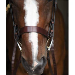Black Oak By KL Select Foxtrot Hunt Bridle -Weatherbeeta Shop KL 1118 FoxtrotHunter2
