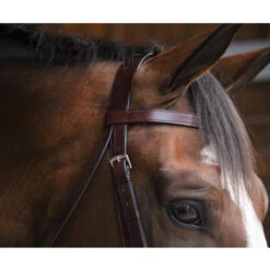 Black Oak By KL Select Foxtrot Hunt Bridle -Weatherbeeta Shop KL 1118 FoxtrotHunter3
