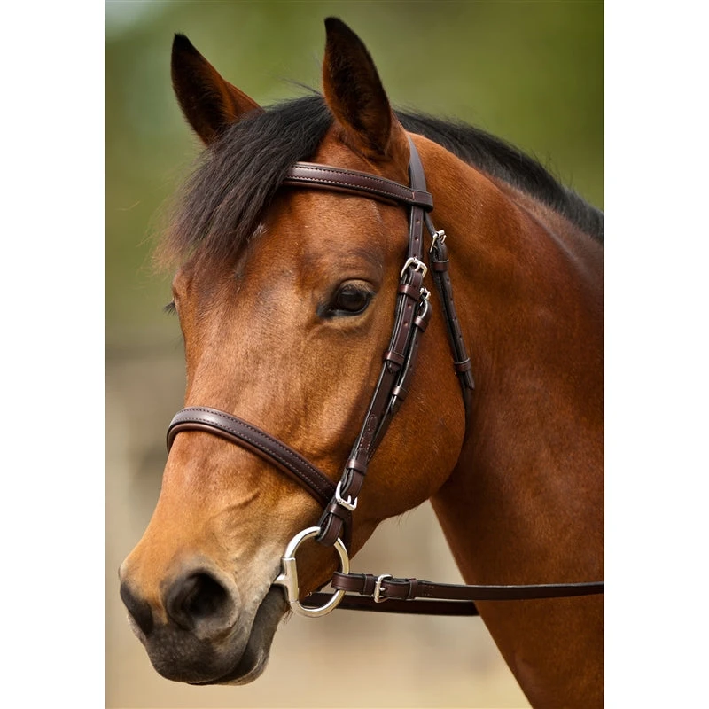 Nunn Finer Event Bridle 3 Nunn Finer Event Bridle