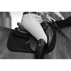 Ogilvy Jumper Baby Pad -Weatherbeeta Shop Ogilvy.Equestrian Jumper.Baby .Pad Black Lifestyle 00