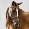 PS Of Sweden Paris Bridle 1 PS Of Sweden Paris Bridle -Weatherbeeta Shop PS Paris Brn1