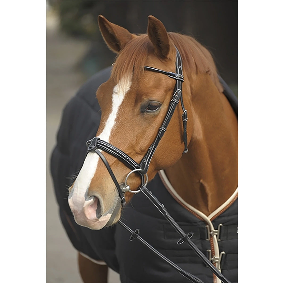 Penelope Point Sellier Bridle 4 Penelope Point Sellier Bridle - Image 2