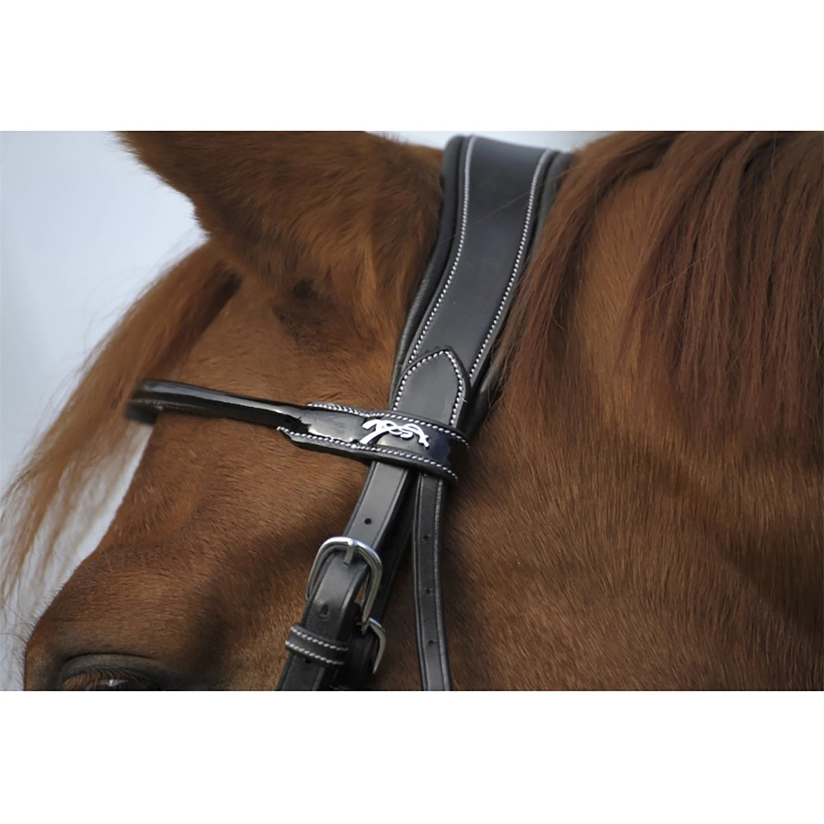 Penelope Point Sellier Bridle 5 Penelope Point Sellier Bridle - Image 3