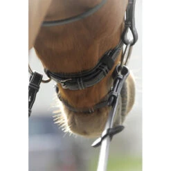 Penelope Point Sellier Bridle 11 Penelope Point Sellier Bridle -Weatherbeeta Shop Pen Sellier 4