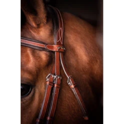 Penelope US Bridle 11 Penelope US Bridle -Weatherbeeta Shop Pen US 3