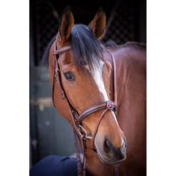 Penelope US Bridle 13 Penelope US Bridle -Weatherbeeta Shop Pen US 5