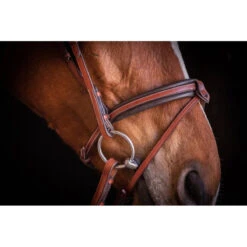 Penelope US Bridle 10 Penelope US Bridle -Weatherbeeta Shop Pen Us 2
