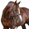 Penelope Daily Bridle 1 Penelope Daily Bridle -Weatherbeeta Shop Penelope Daily.Bridle