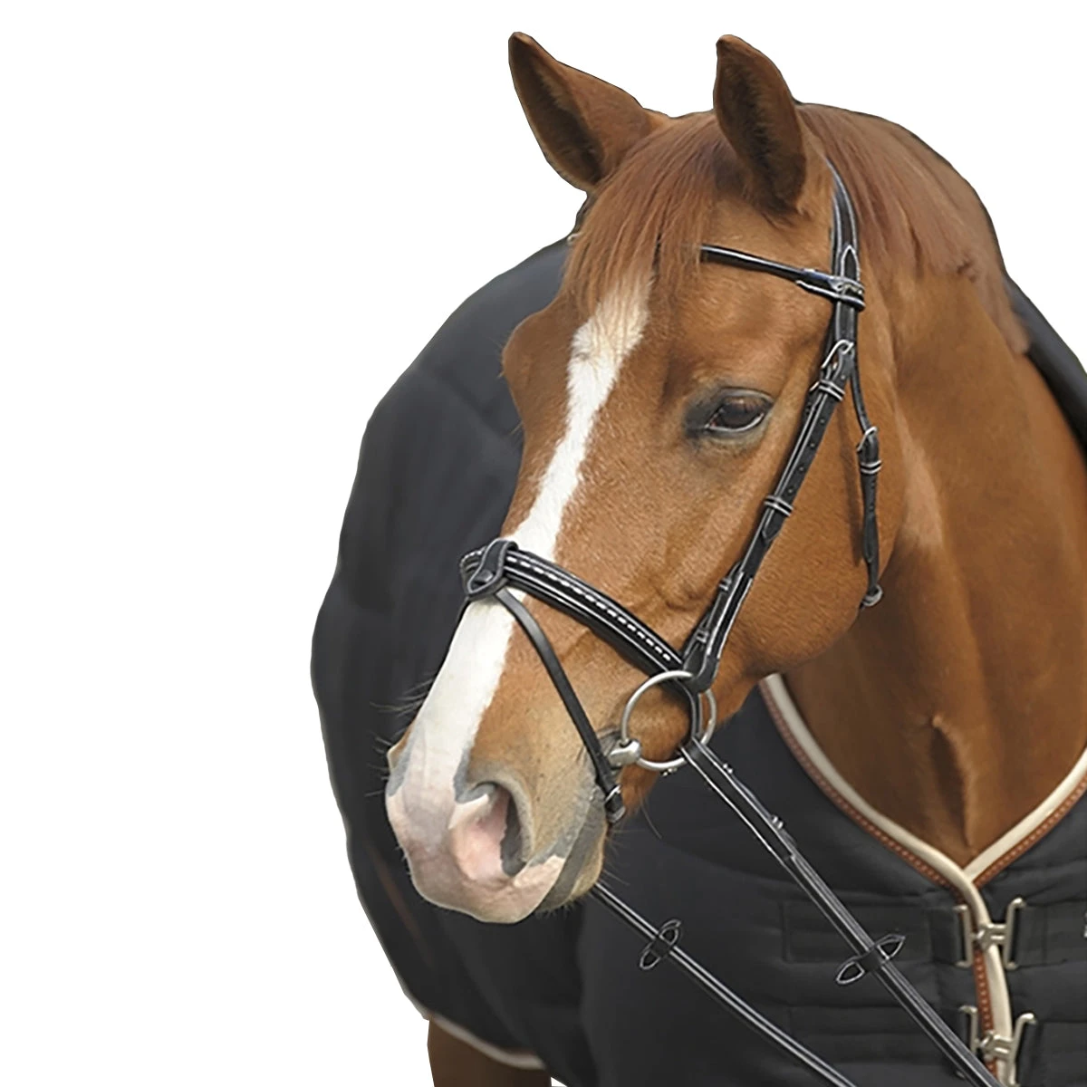 Penelope Point Sellier Bridle 3 Penelope Point Sellier Bridle