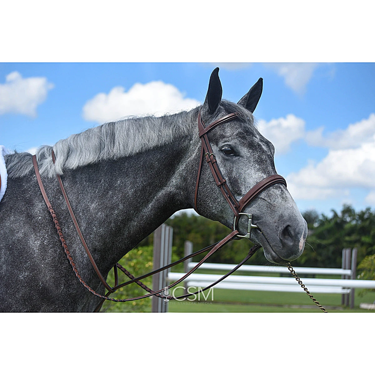 Renaissance By Prestige Hunter Bridle 4 Renaissance By Prestige Hunter Bridle - Image 2