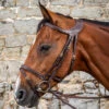 Dyon Difference Flash Bridle - D Collection 1 Dyon Difference Flash Bridle - D Collection -Weatherbeeta Shop Sag DYGXAU 1